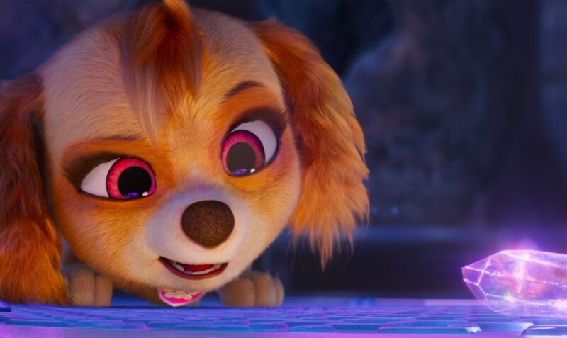 Návštěva Tlapkové patroly ve velkofilmu v českých kinech překročila 200 tisíc diváků