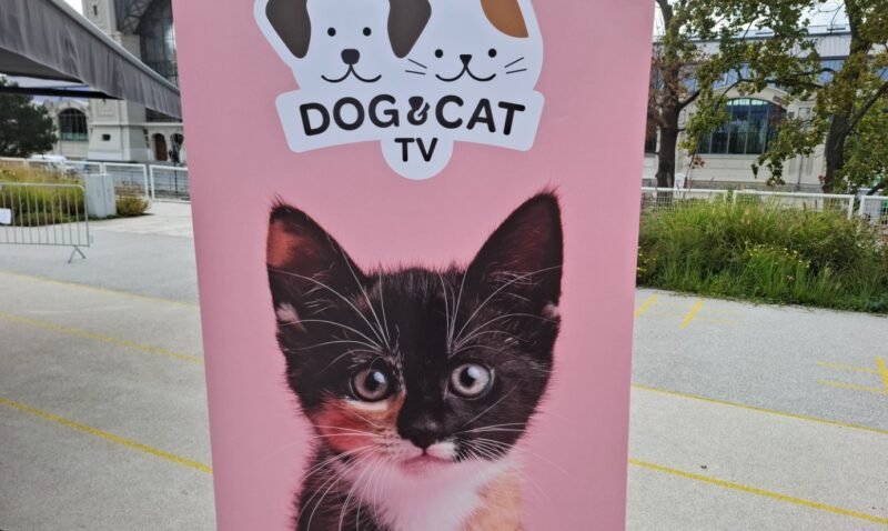 V Česku začne vysílat televize pro chovatele psů a koček, stojí za ní Francouzi