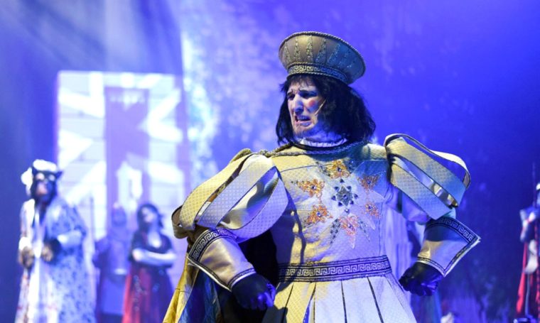 V Česku se objeví tuzemská verze muzikálu Shrek