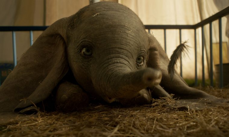 Burtonovo létací slůně Dumbo utržilo v kinech na startu přes 100 milionů dolarů