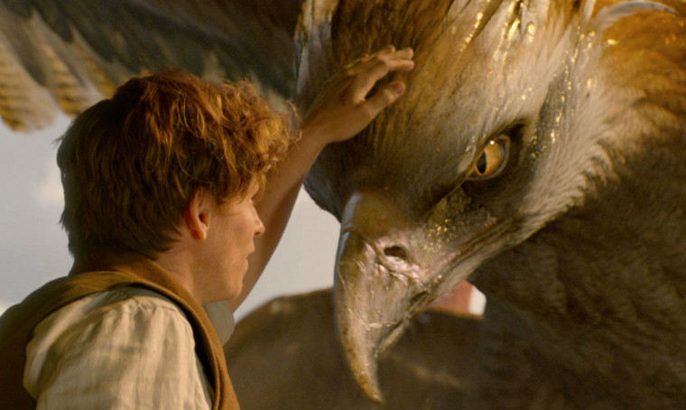 Rekord je doma! Kinotrh v letošním roce překročil 1,7 miliardy korun