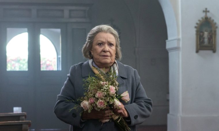 Autorská dvojice Strach – Epstein má na kontě další film, Klec s Jiřinou Bohdalovou