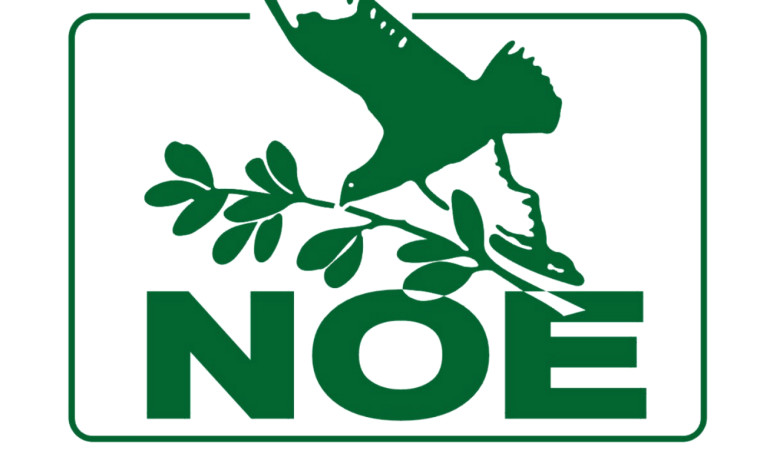 Křesťanská televize Noe prodělala přes 100 milionů