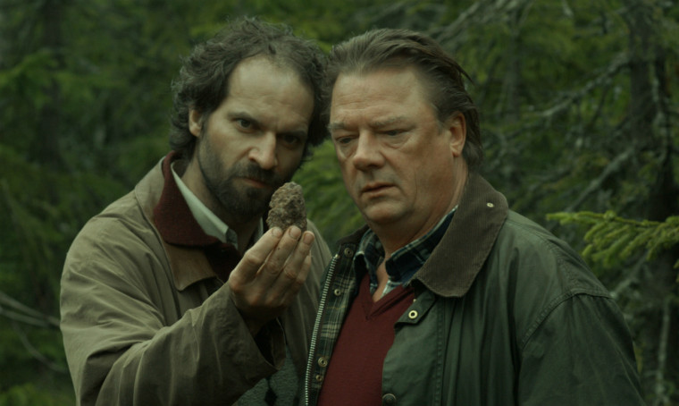 Filmová distribuce Film Distribution Artcam zvedla tržby o 700 procent