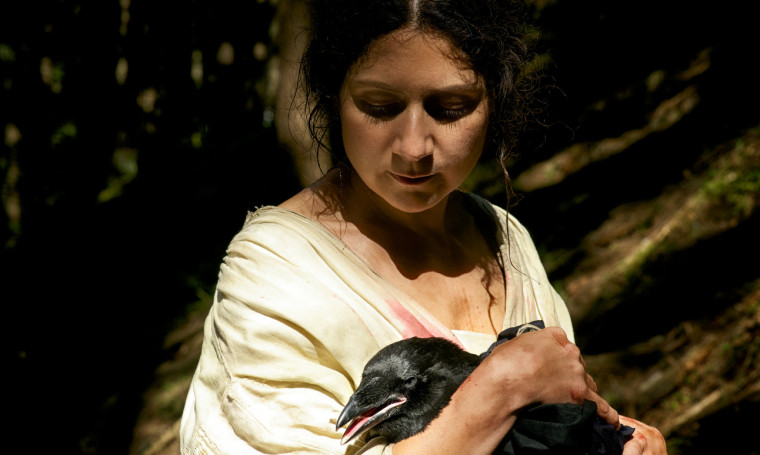 Filmová produkce a distribuce Bohemia Motion Pictures ve ztrátě téměř 4 miliony