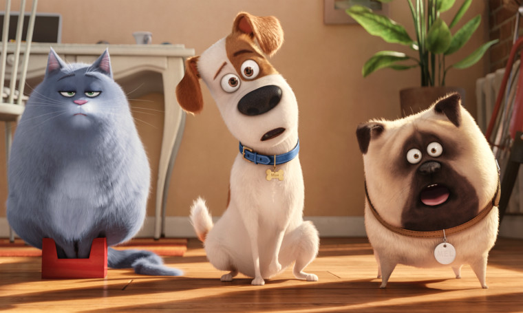Animovaný Tajný život mazlíčků odstartoval se 16 miliony za prodej kinolístků