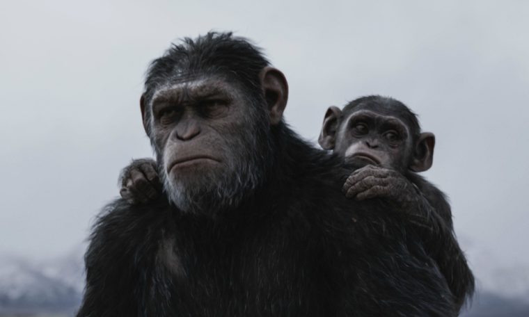 Celosvětové tržby blockbusteru Válka o planetu opic překročily 100 milionů dolarů